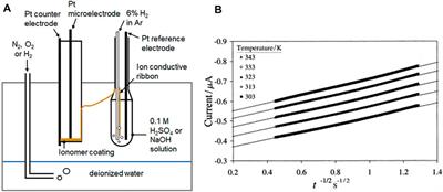 Gas Permeability Test Protocol for Ion-Exchange Membranes